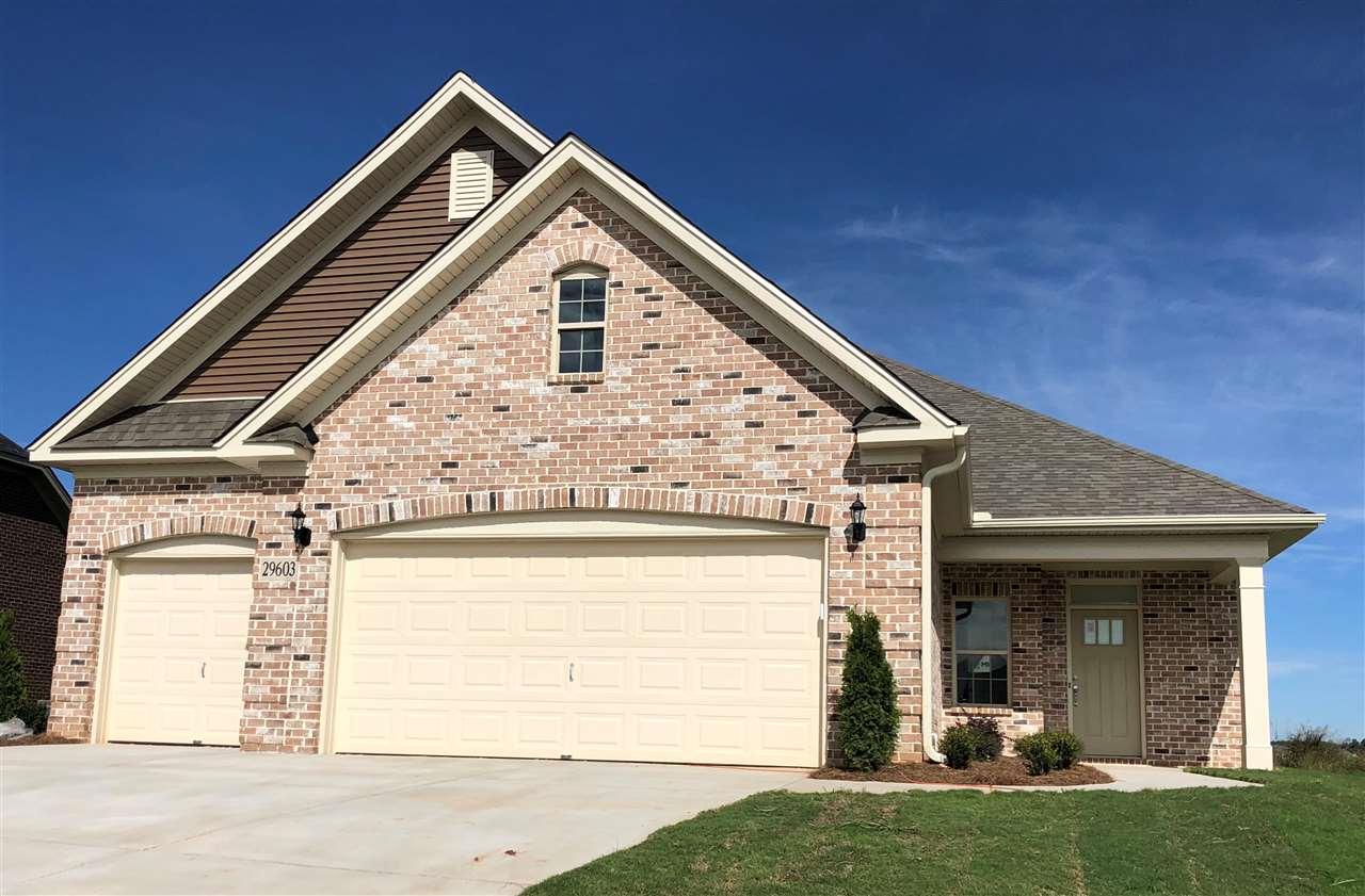 29603 Nicholson Drive - Photo 1