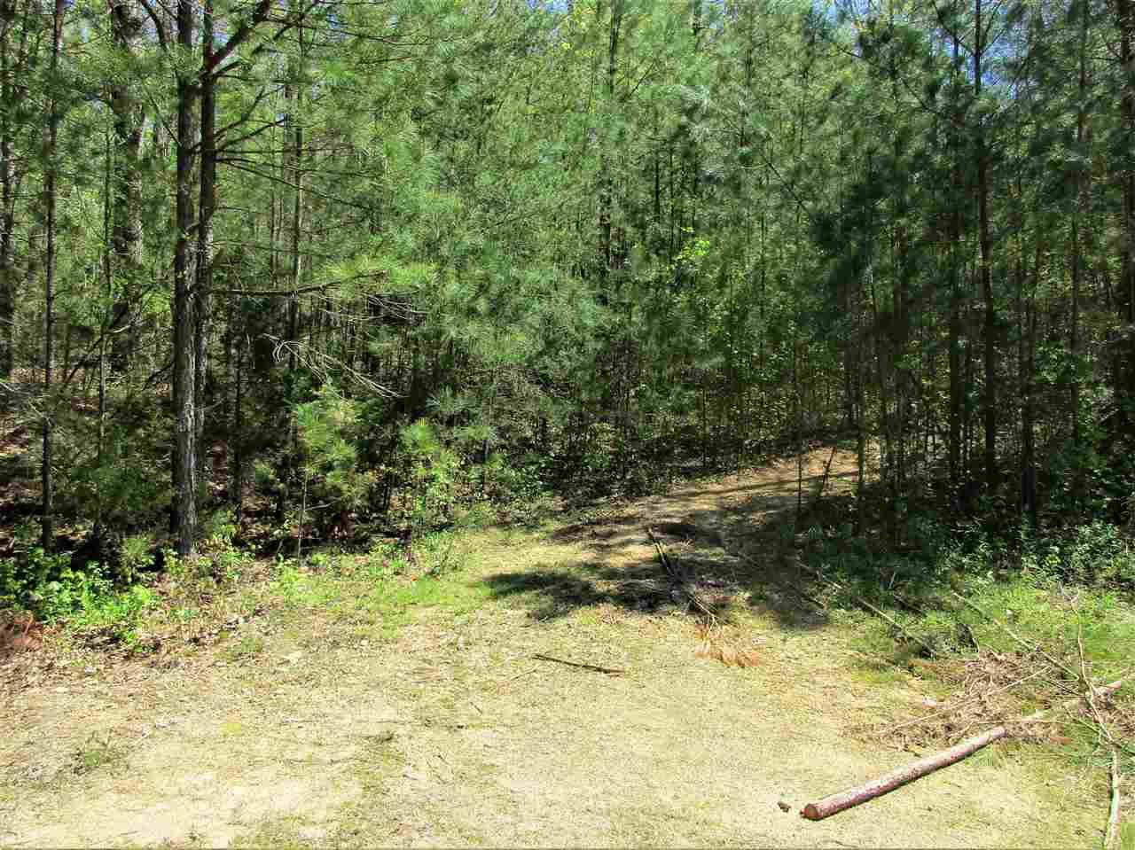 Dugout Valley Road - Photo 1