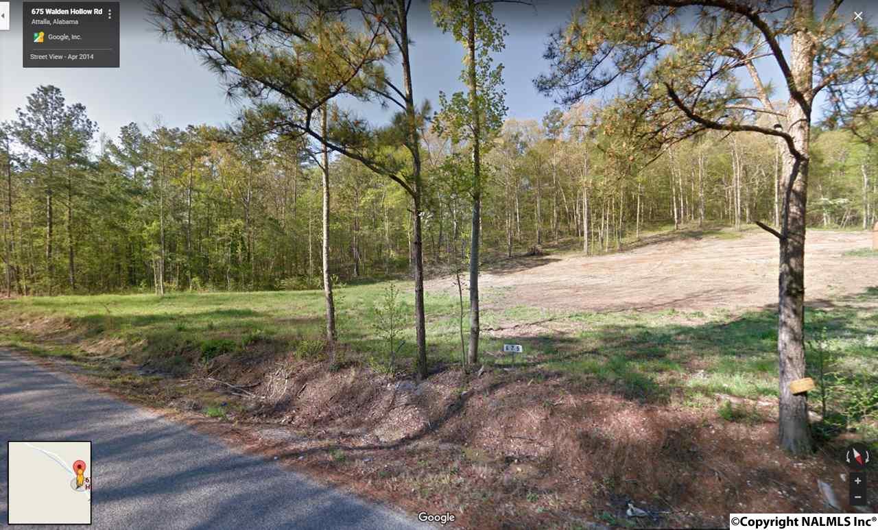 675 Walden Hollow Road - Photo 1