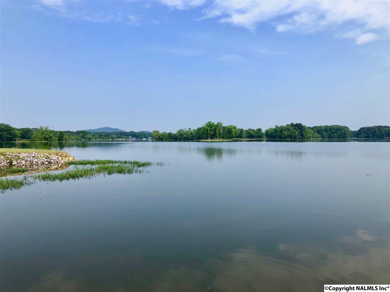 804 East Haven Drive - Photo 1