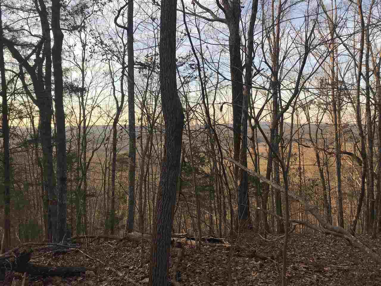 Alabama Highway 137 - Photo 1