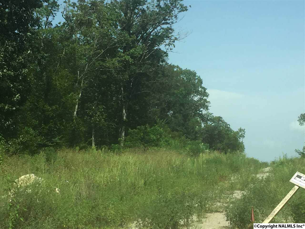 0 Bluff City Road - Photo 1