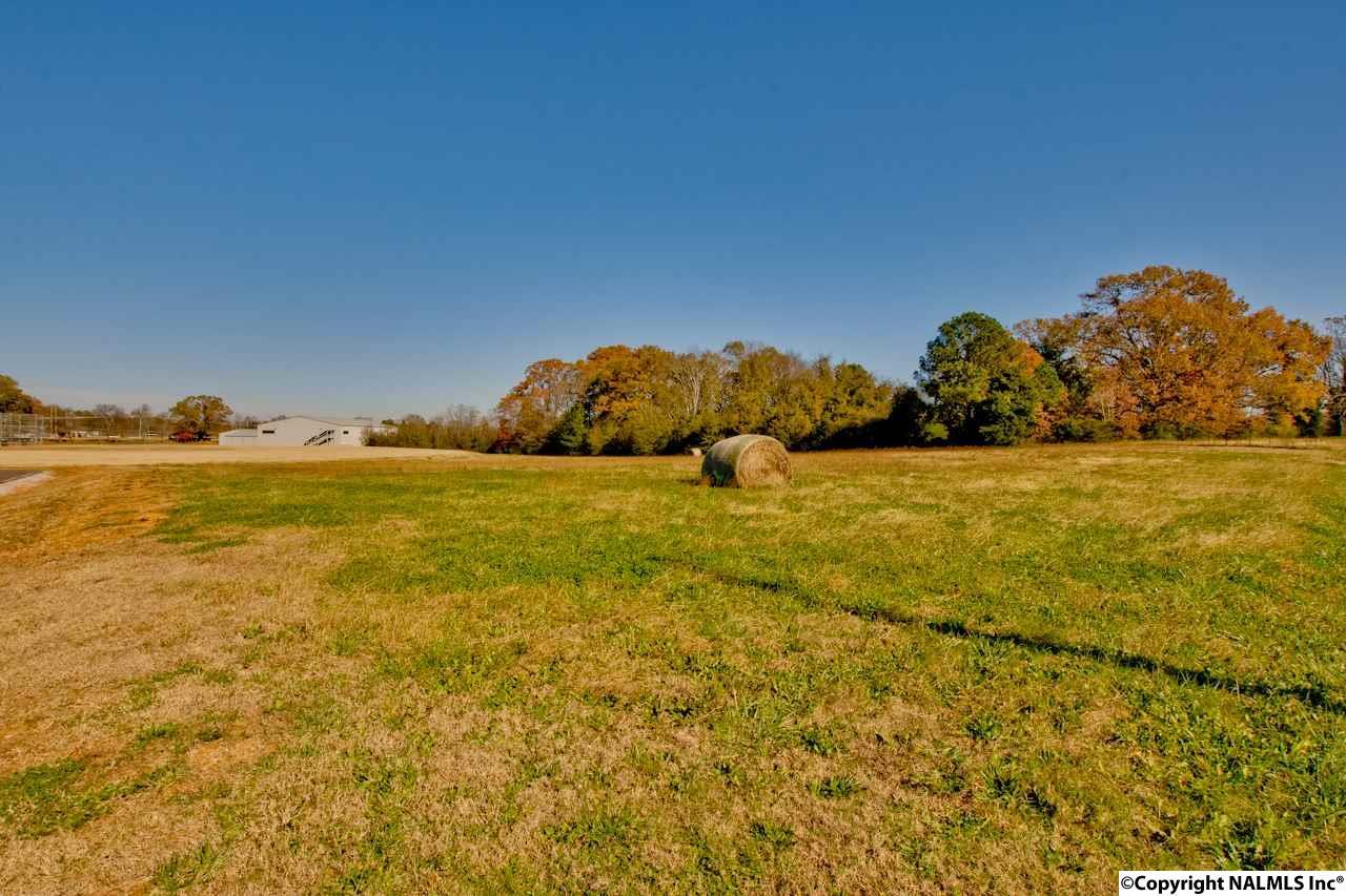 Nick Davis Road - Photo 1