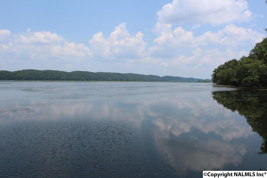 1655 Hwy 67 - Photo 1