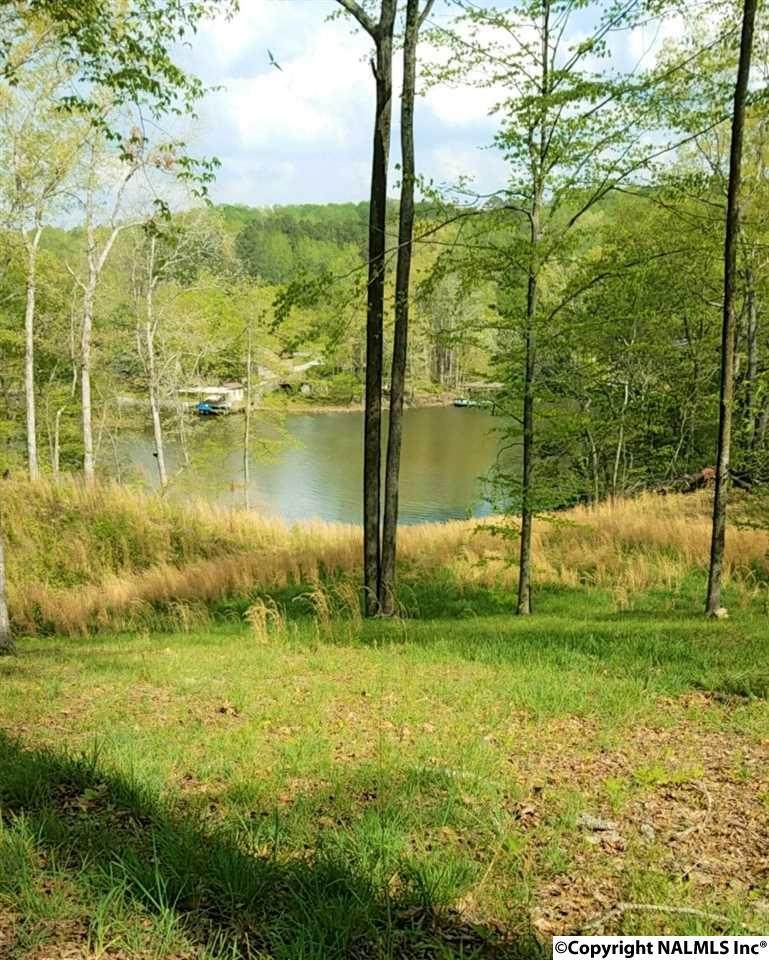 1033 County Road 404 - Photo 1