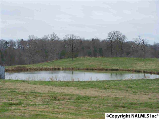 311 County Road 250 - Photo 1