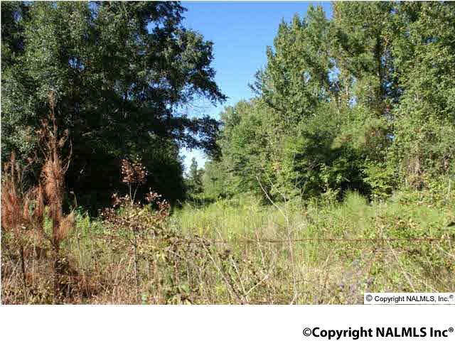0 Hwy 67 - Photo 1
