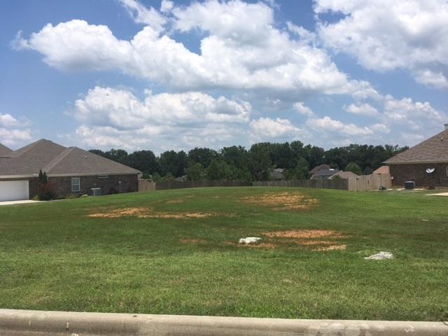 119 Tellico Ridge Road - Photo 1