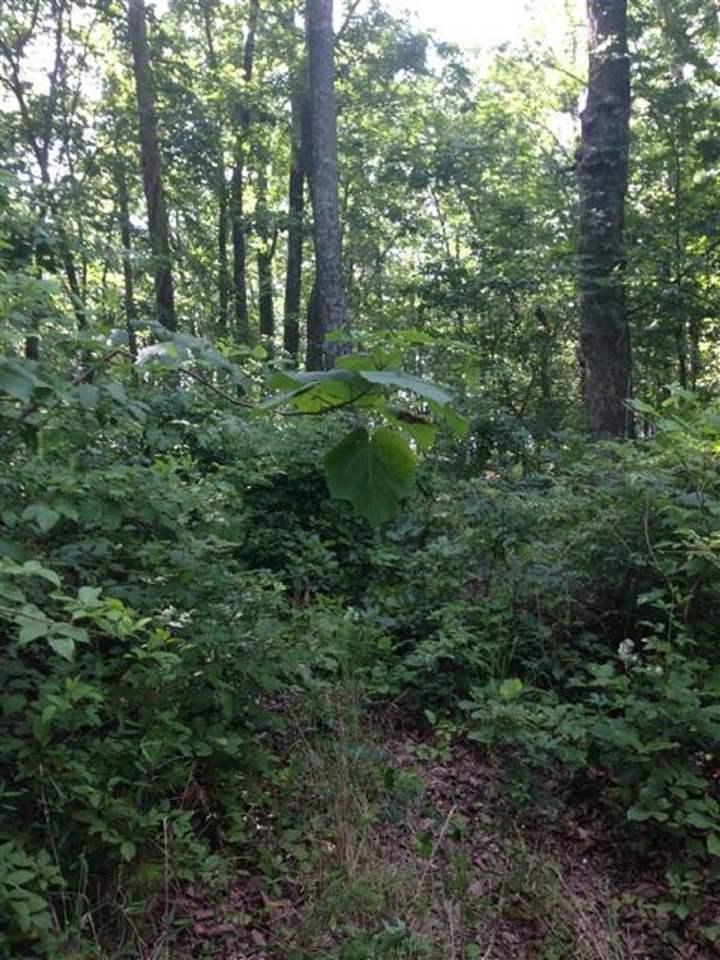 000 County Road 89 - Photo 1