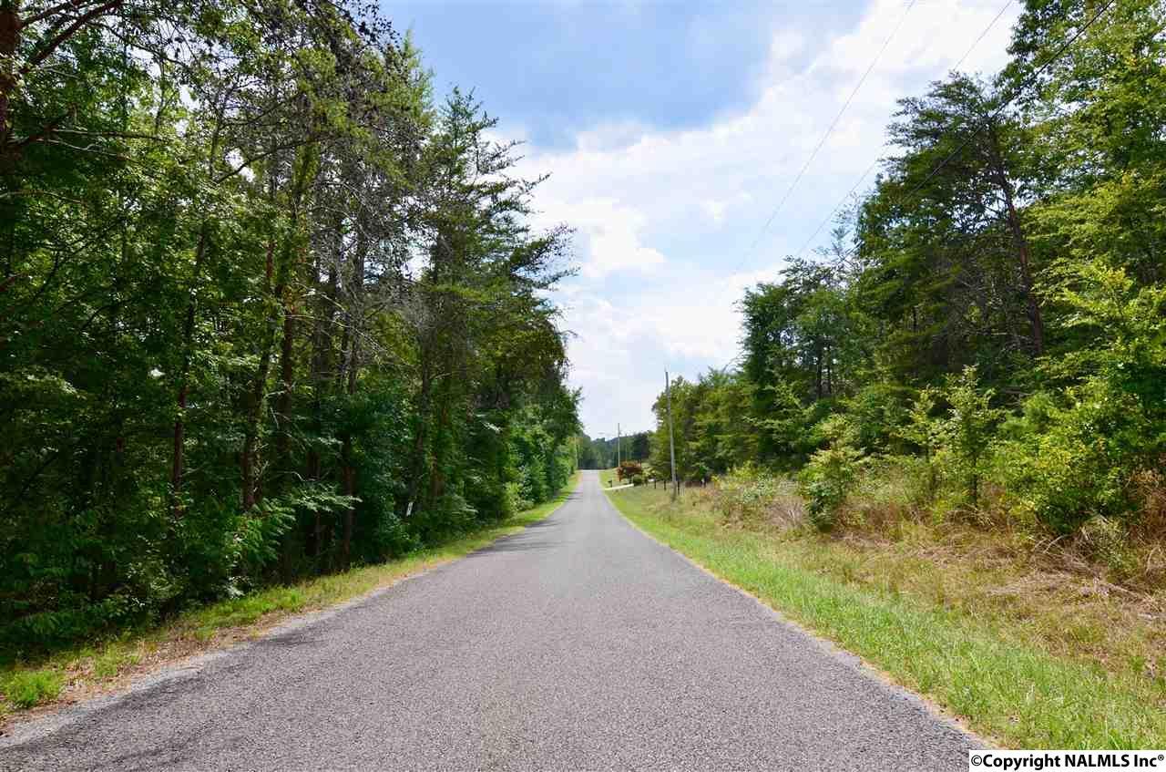 1847 Scenic Drive - Photo 1