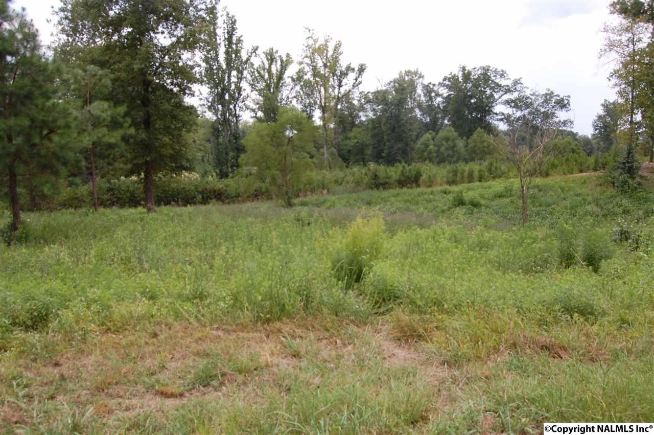 Fairway Drive - Photo 1