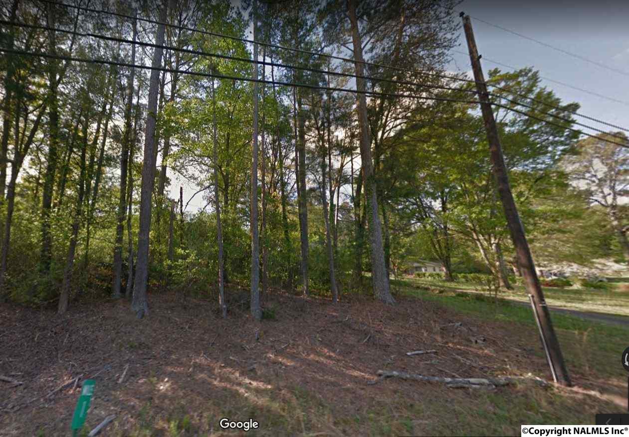 Noccalula Drive - Photo 1