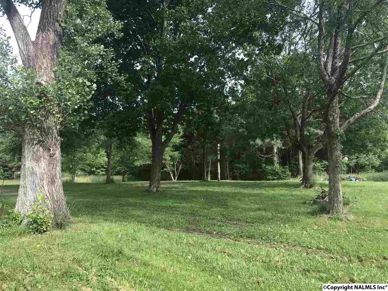 1952 Reece Road - Photo 1