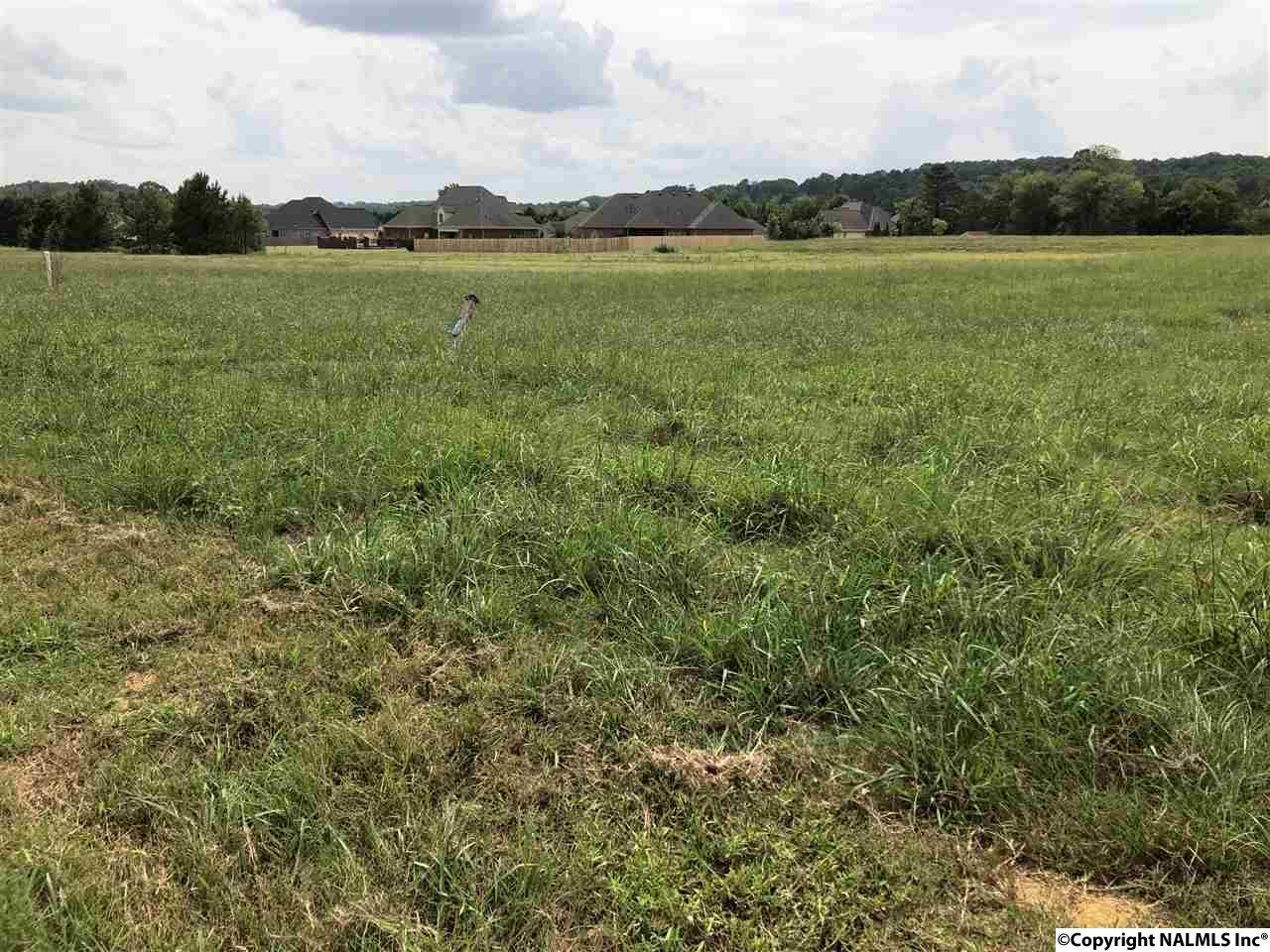 3421 South Chapel Hill Road - Photo 1