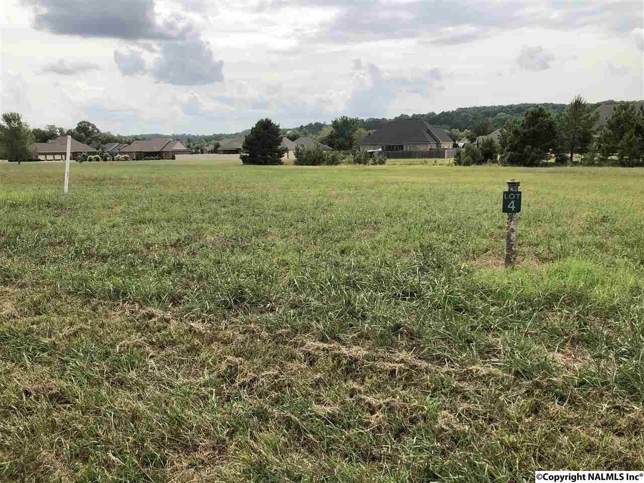 3433 South Chapel Hill Road - Photo 1
