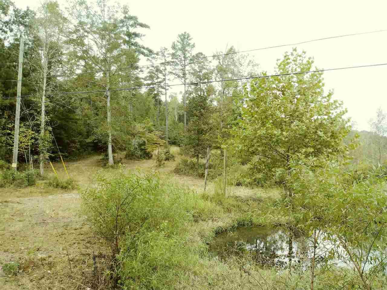 3727 Fall Bluff Drive - Photo 1