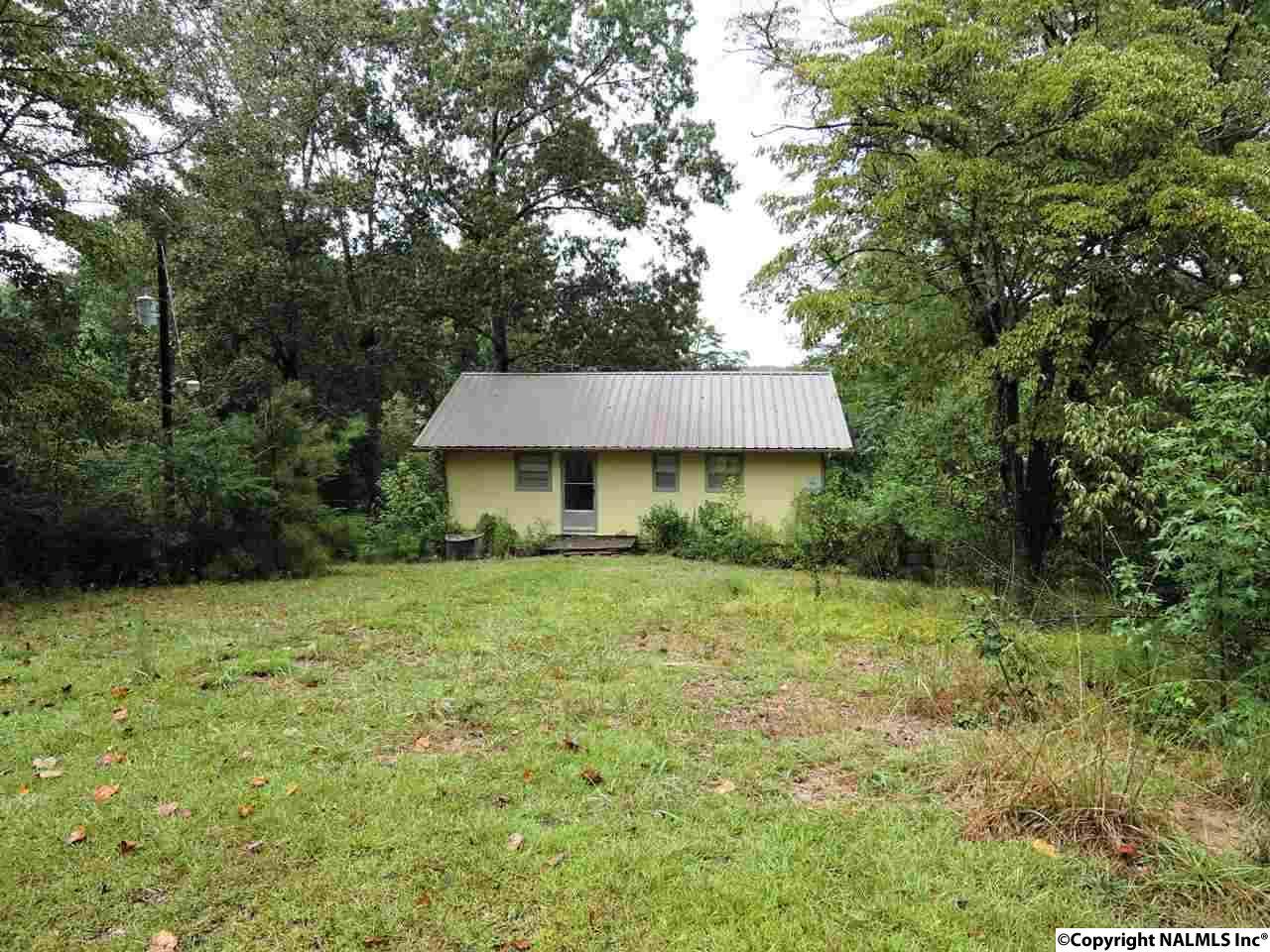 244 County Road 179 - Photo 1