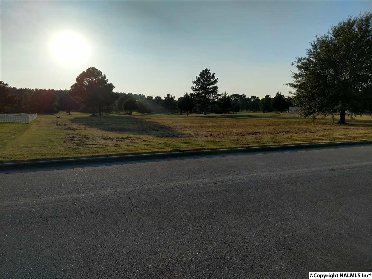 22373 Southern Breeze - Photo 1