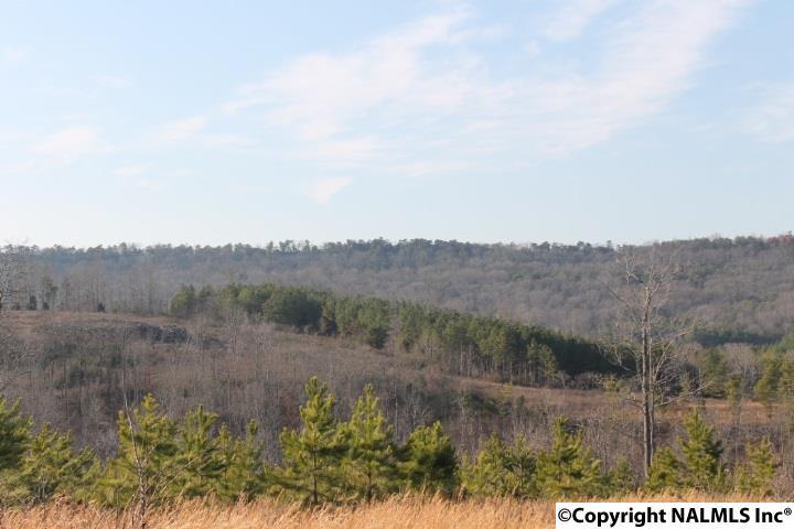 Lot 20 Foxfield Drive - Photo 1