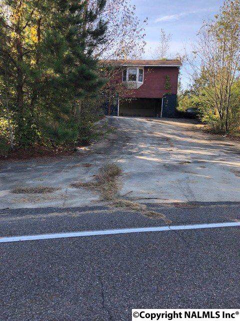 4050 Snake Road - Photo 1
