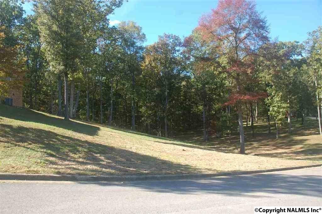 208 Heritage View Circle - Photo 1