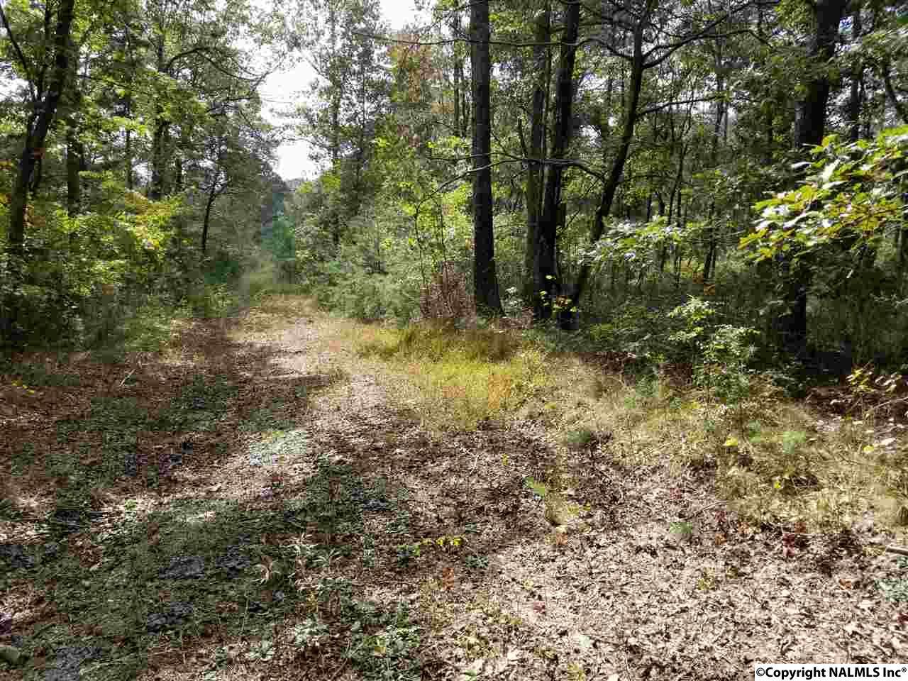 3593 Alabama Highway 117 - Photo 1