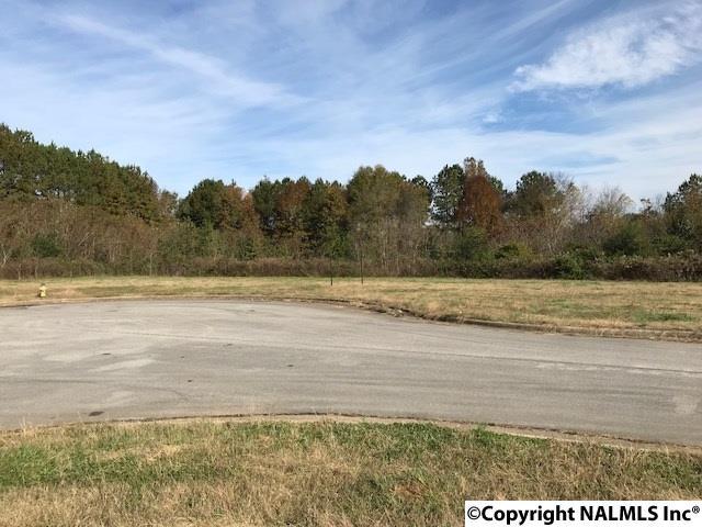 Lot 19 Trade Drive - Photo 1