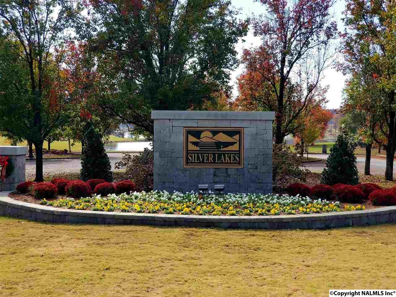 23 Silver Lakes Blvd - Photo 1
