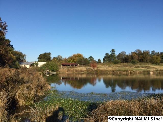 390 Fortenberry Road - Photo 1
