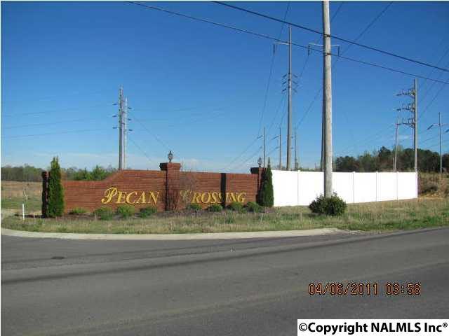 115 Bonny Brook Lane - Photo 1