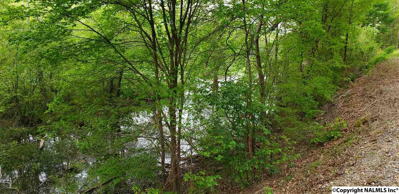 21 County Road 165 - Photo 1