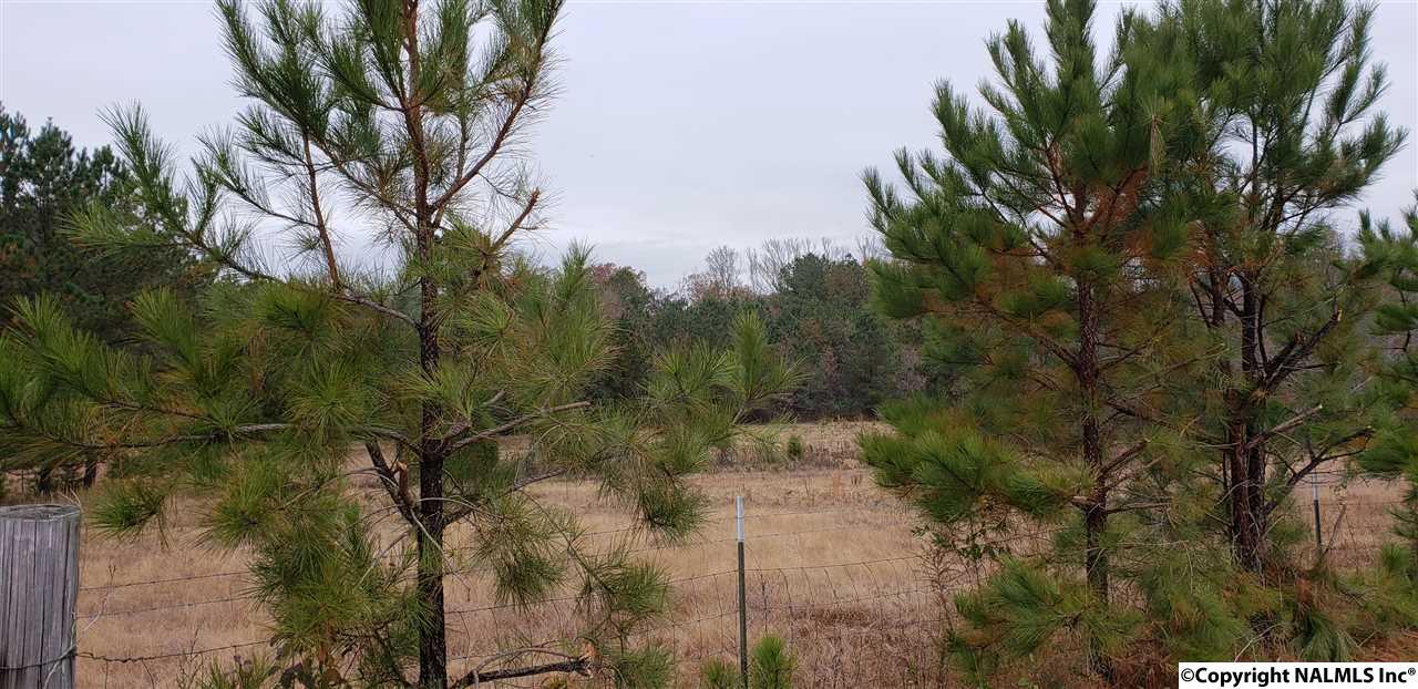 6 County Road 146 - Photo 1