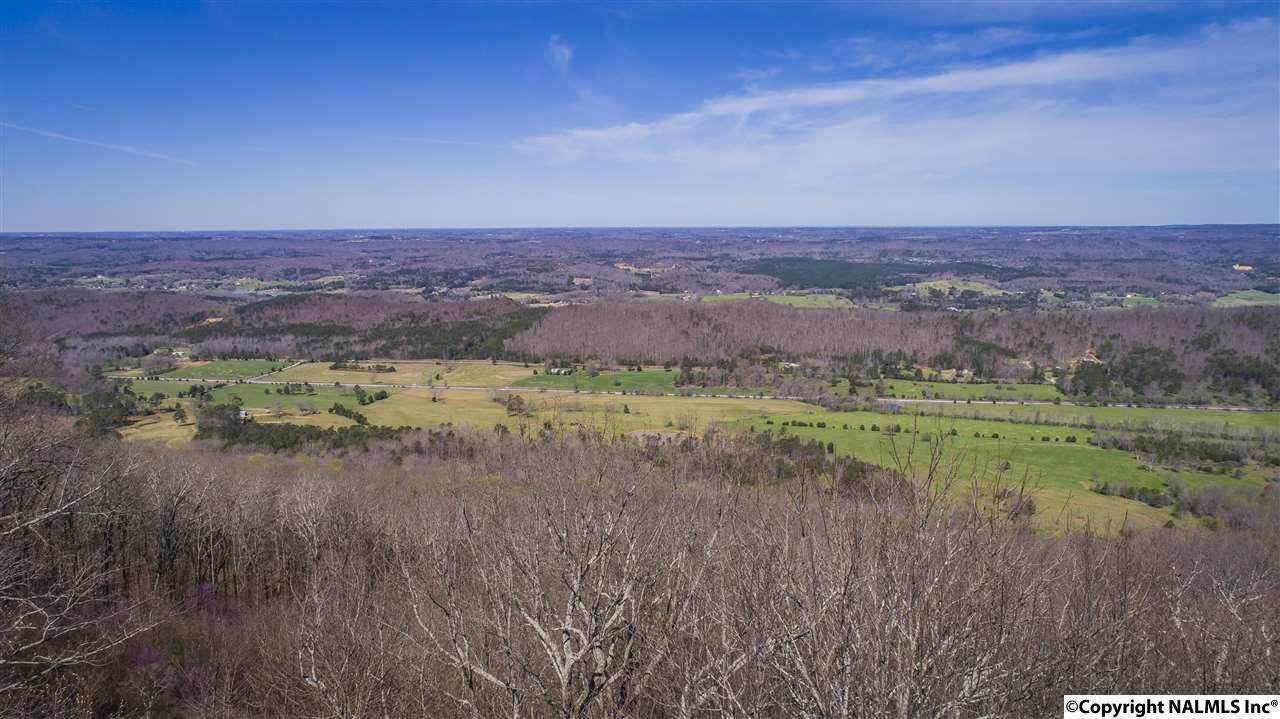 Lot 16 County Road 89 - Photo 1