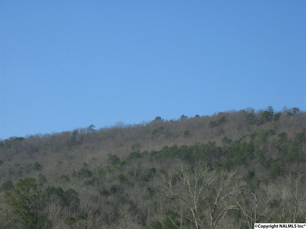0 Bettinger Mountain Road - Photo 1 0 Bettinger Mountain Road - Photo 1
