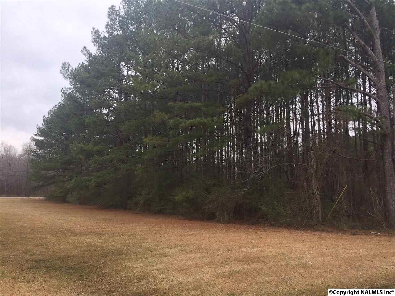 0 Allen Blvd - Photo 1