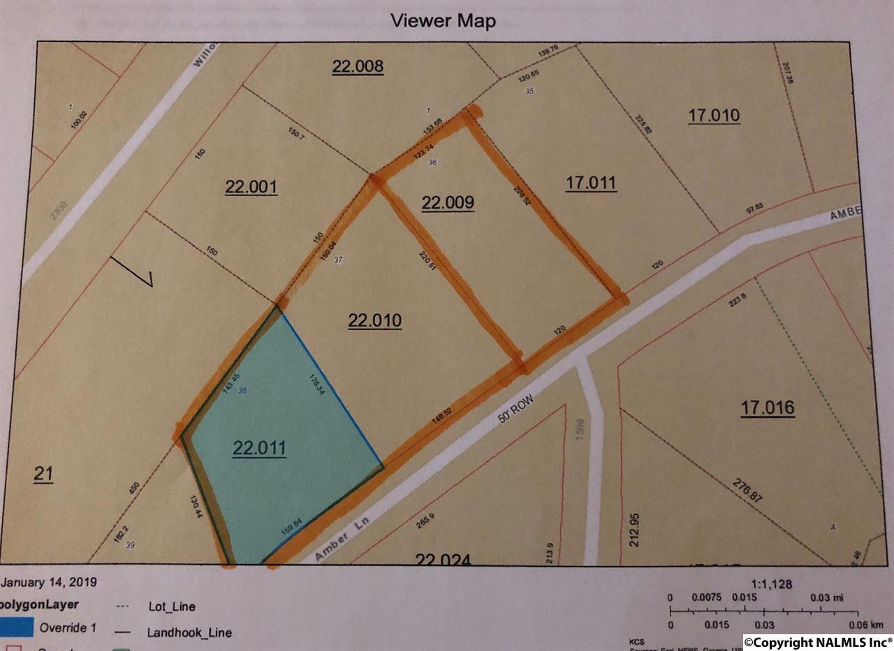 00 Amber Lane - Photo 1