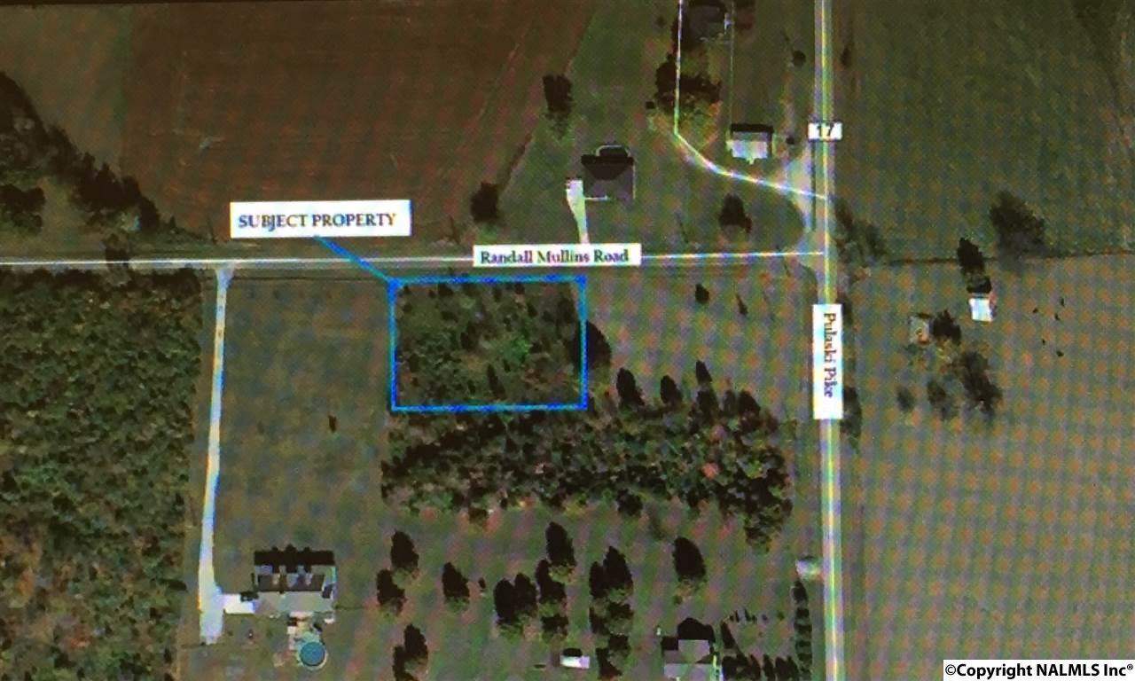 0 Randall Mullins Road - Photo 1