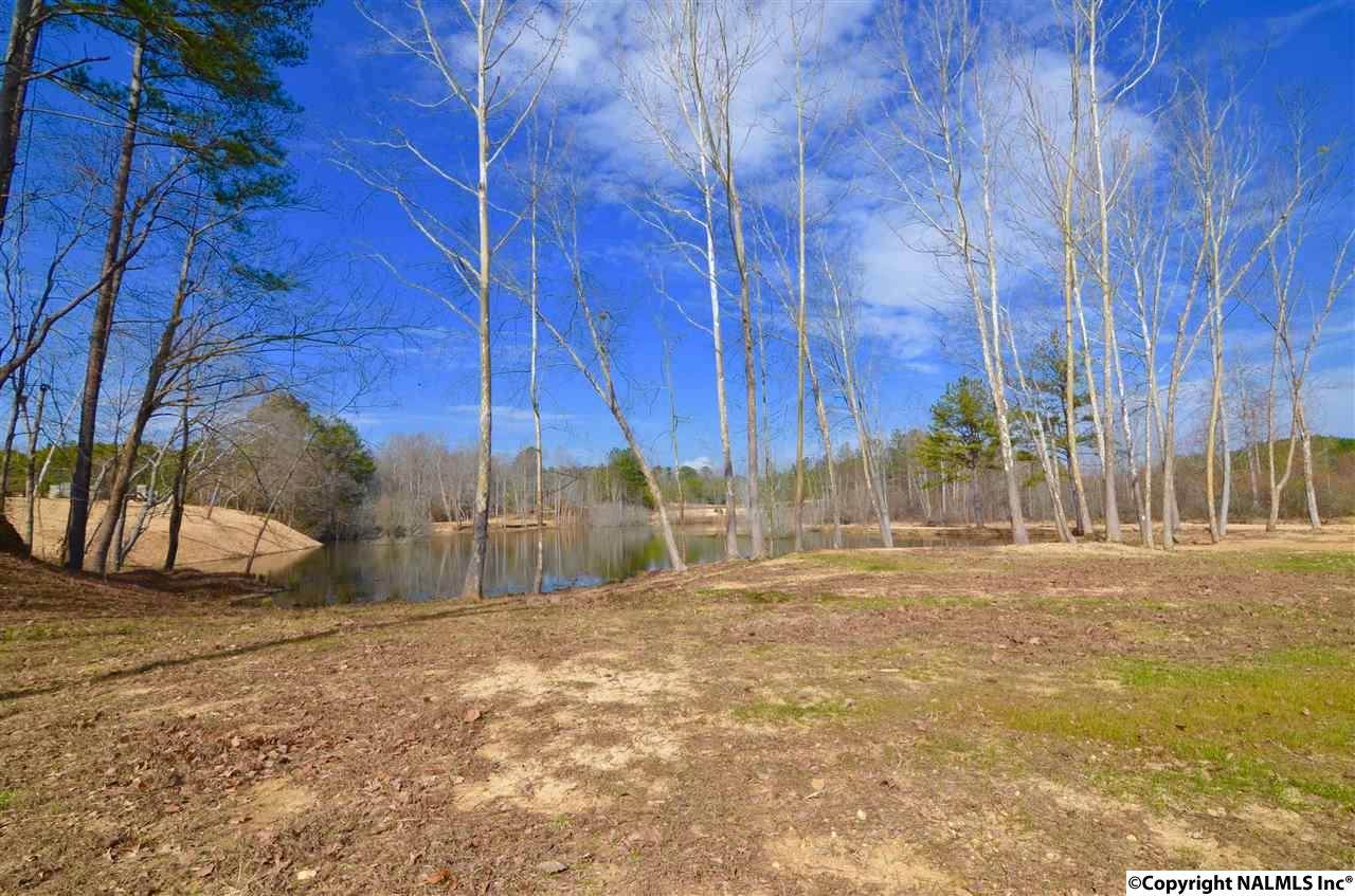 Lot 26 Charlotte Lane - Photo 1