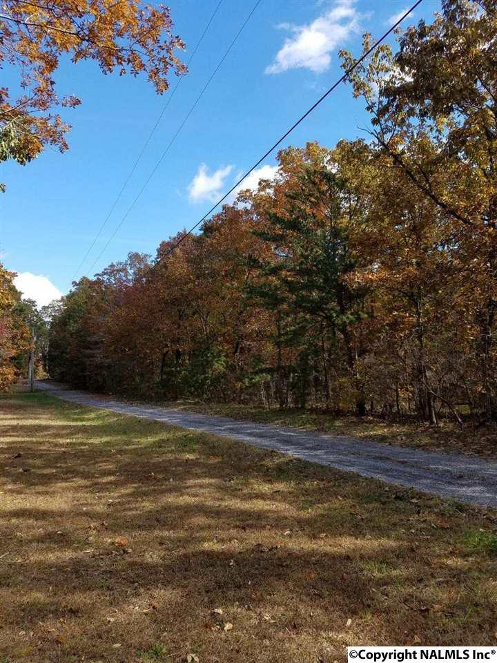 Road 9074 - Photo 1