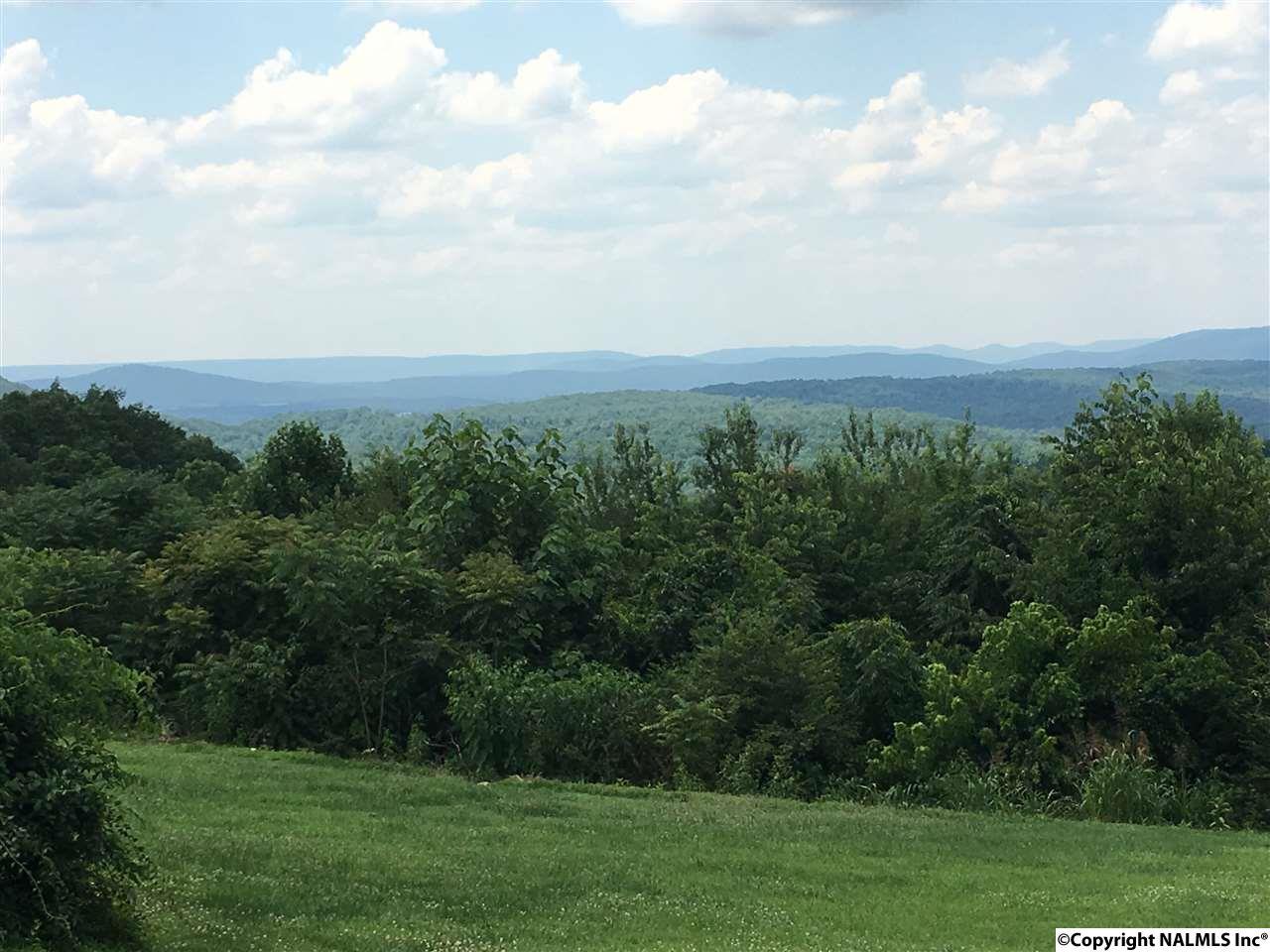 0 Wiley Ayers Road - Photo 1