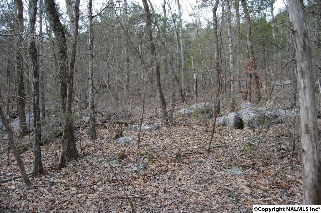 0 County Road 59 - Photo 1