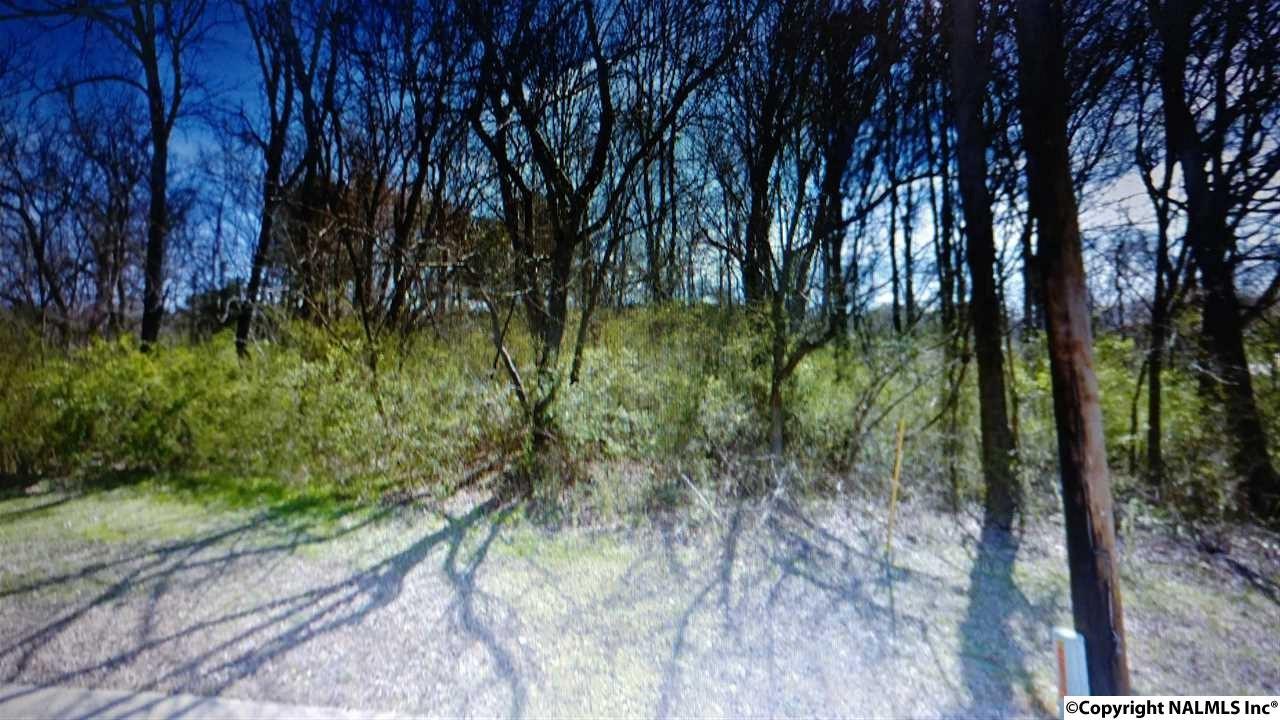 Lot 0 Hollow Road - Photo 1