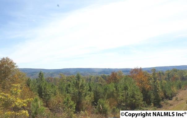 Lot 2 Hillside Drive - Photo 1