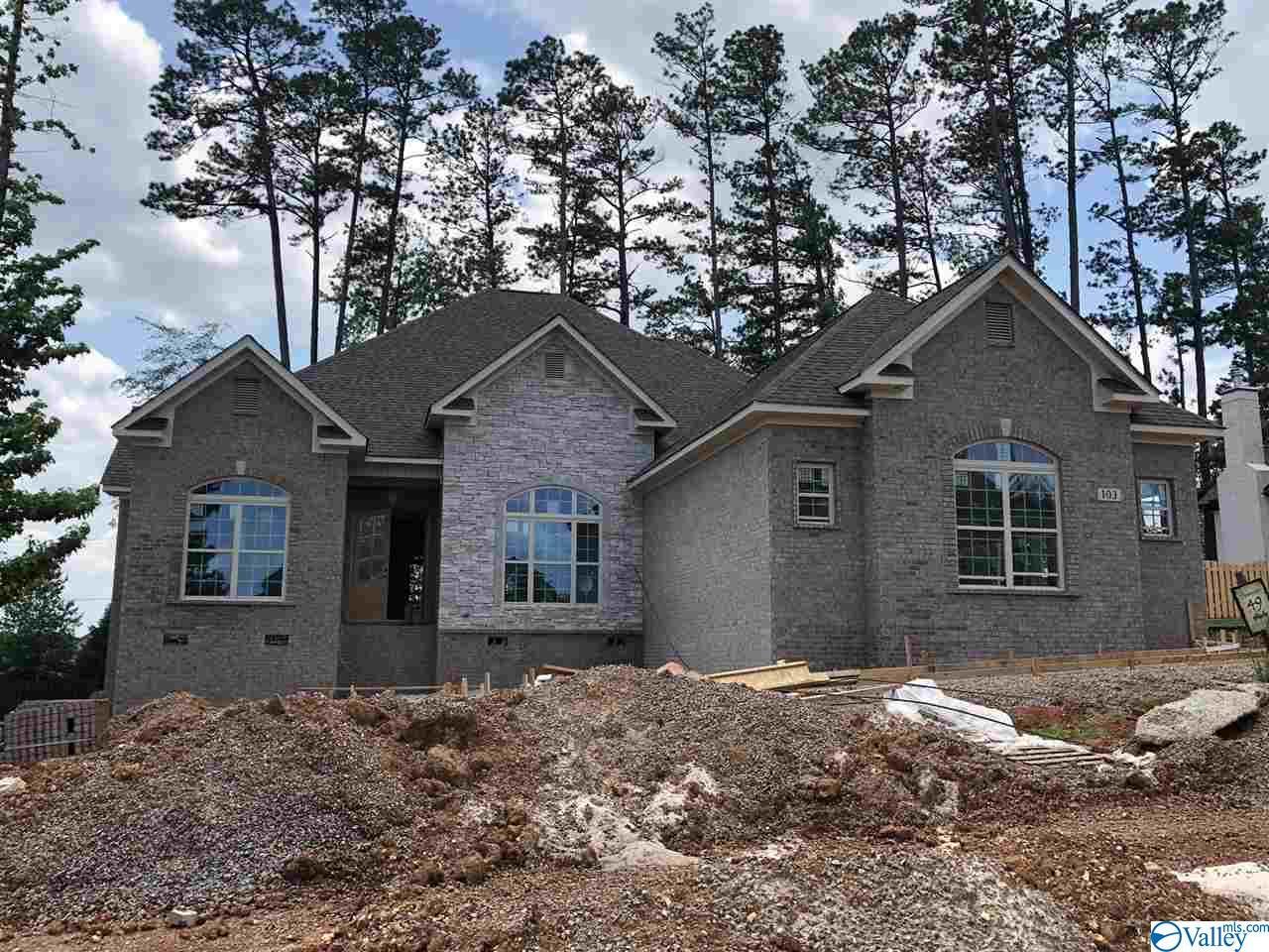 104 Cedar Branch Road - Photo 1