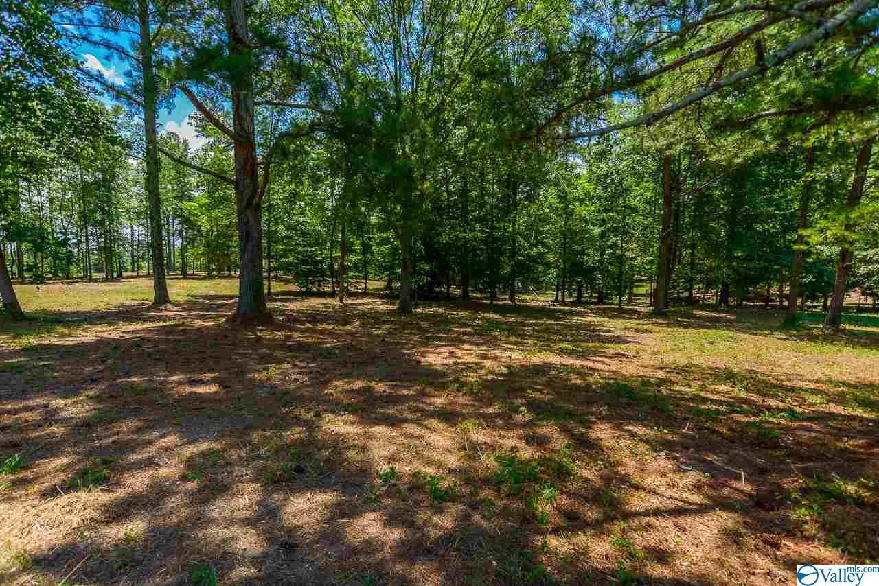 0 Wyeth Rock Rd - Photo 1