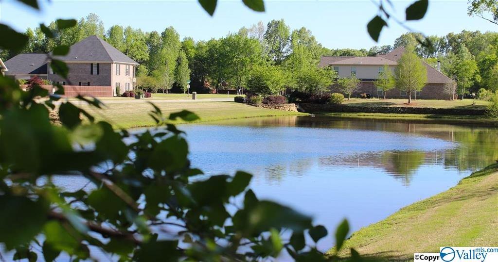 4213 Ruby Pointe Drive - Photo 1