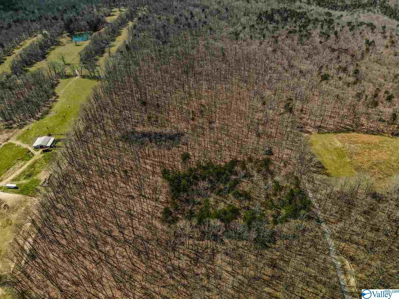 00 Alsobrook Road - Photo 1