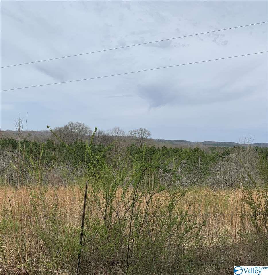 County Road 787 - Photo 1