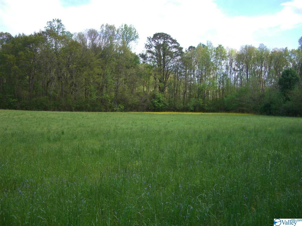 44 Highway 72 - Photo 1