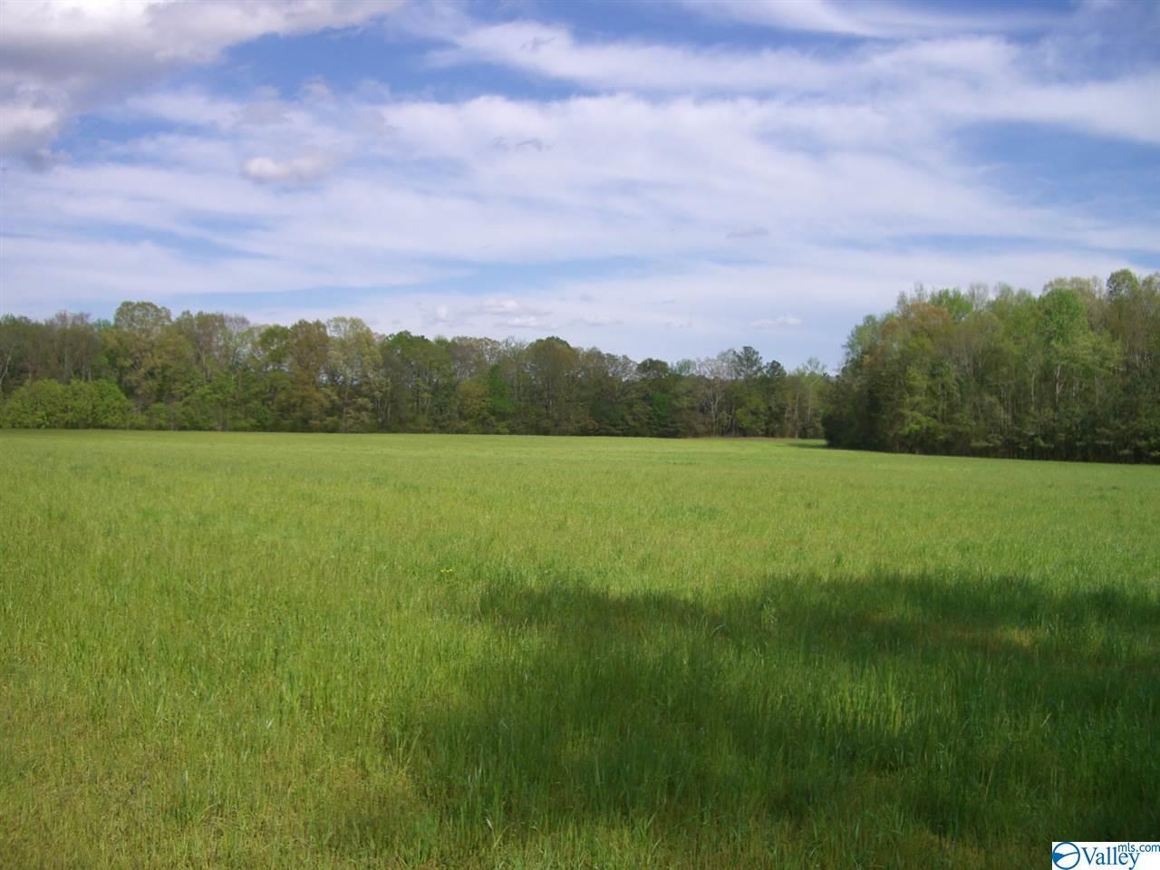 45 Highway 72 - Photo 1